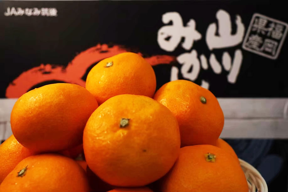 台中山梨縣溫室桃水果禮盒批發推薦 》日本水果禮盒：在綠之果物