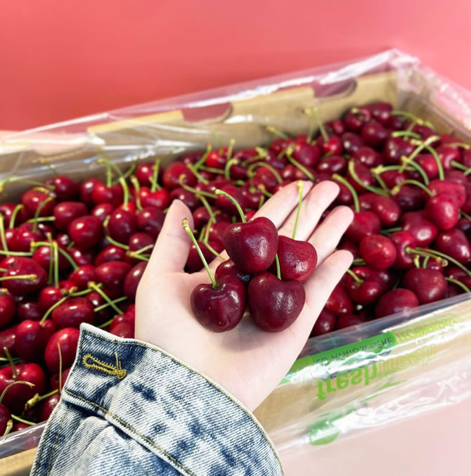 桃園日本水蜜桃罐頭水果禮盒批發推薦 》挑選綠之果物：讓您的日