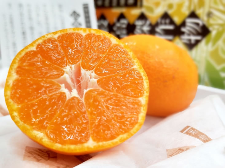 嘉義訂日本水果推薦 》如何從綠之果物找到您理想的日本水果禮盒