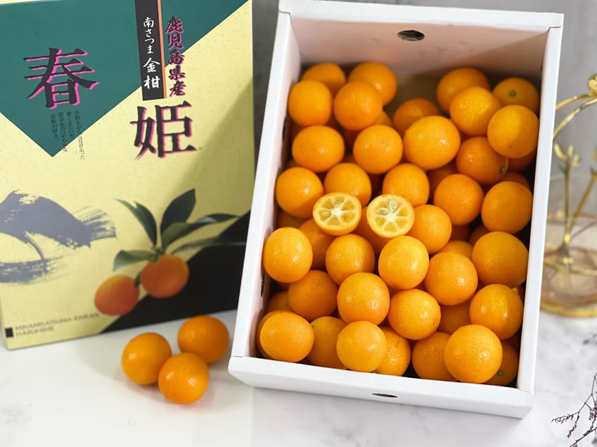 員林日本買水果禮盒 》從綠之果物掌握日本水果禮盒批發的最新資