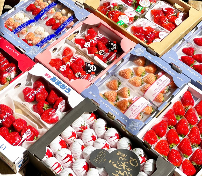 嘉義鹿耳島金桔水果禮盒批發推薦 》探索綠之果物：您的日本水果