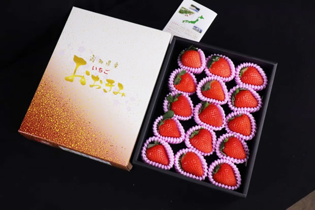 員林奈良白草莓水果禮盒批發推薦 》找尋日本水果禮盒批發的絕佳