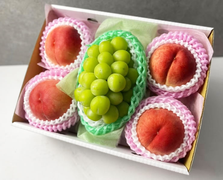 桃園鳥取水果推薦 》探索綠之果物：日本水果禮盒批發的新體驗
