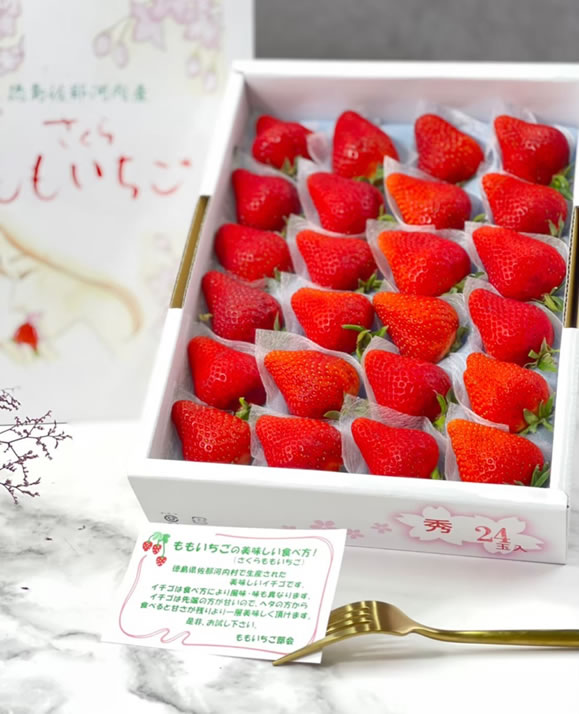 新竹日本糖蜜草莓水果禮盒批發推薦 》如何從綠之果物找到您理想