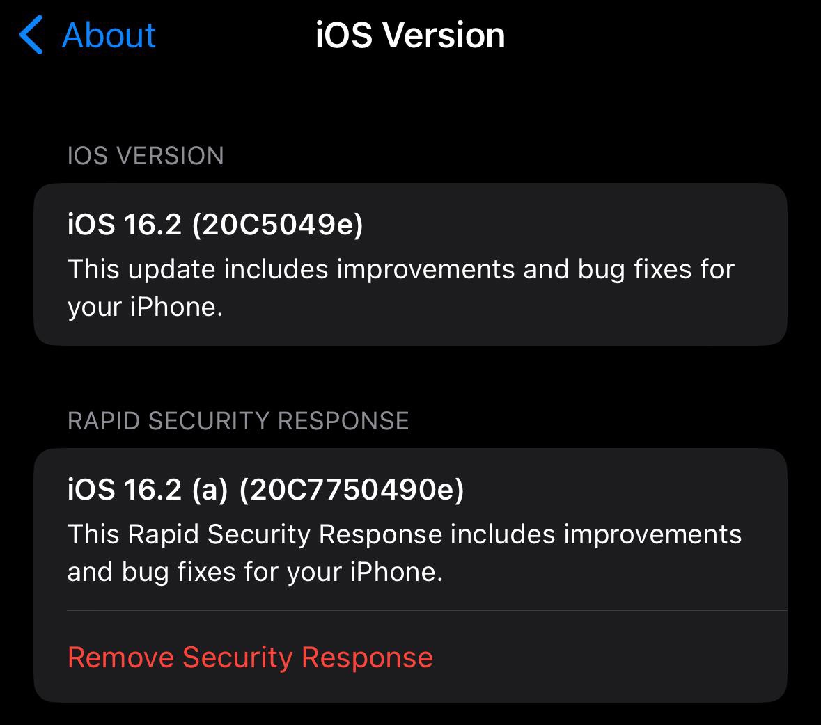 蘋果發布快速安全響應更新：適用於更新 iOS 16.2 Beta 的設備